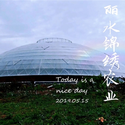 觀(guān)光平臺(tái)鳥(niǎo)巢溫室