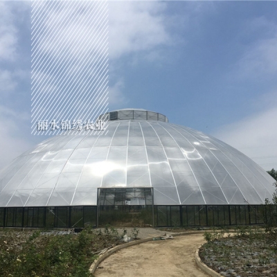 新型陽(yáng)光板鳥巢溫室