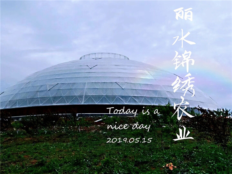 觀光平臺鳥巢溫室(圖1)