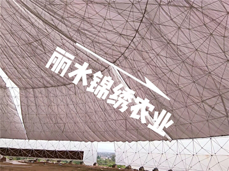 觀光平臺鳥巢溫室(圖5)