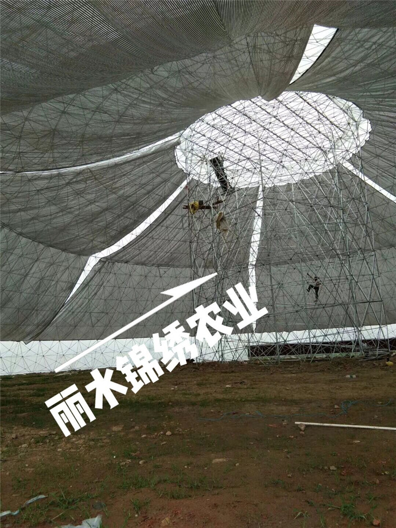 觀光平臺鳥巢溫室(圖4)