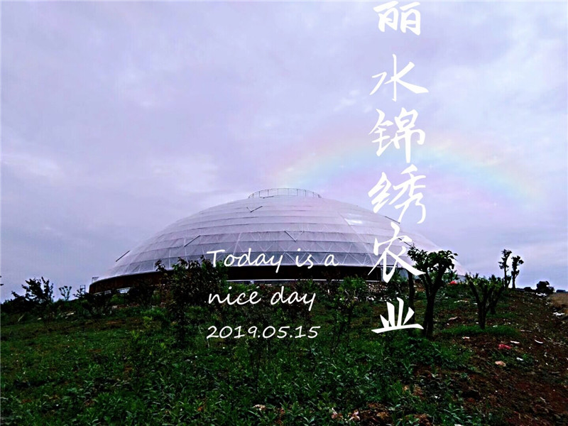 觀光平臺鳥巢溫室(圖7)