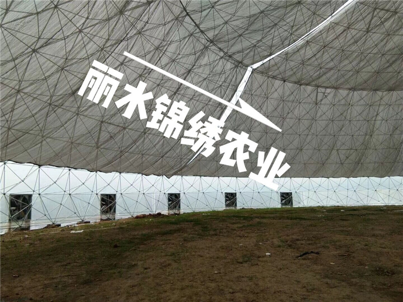 觀光平臺鳥巢溫室(圖6)
